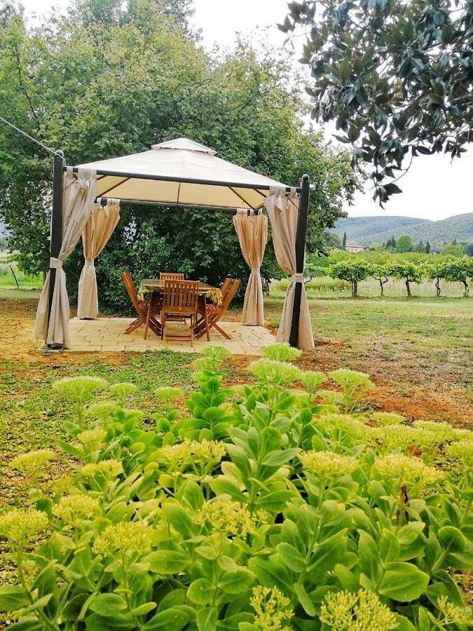 Claudia Vacanza Toscana - Appartamento Melograno -10 Min Da Siena Sovicille Quarto foto