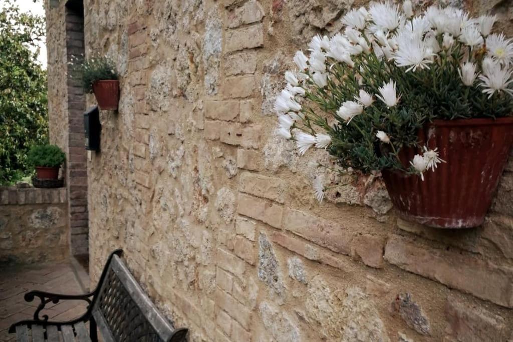 Claudia Vacanza Toscana - Appartamento Melograno -10 Min Da Siena Sovicille Exterior foto