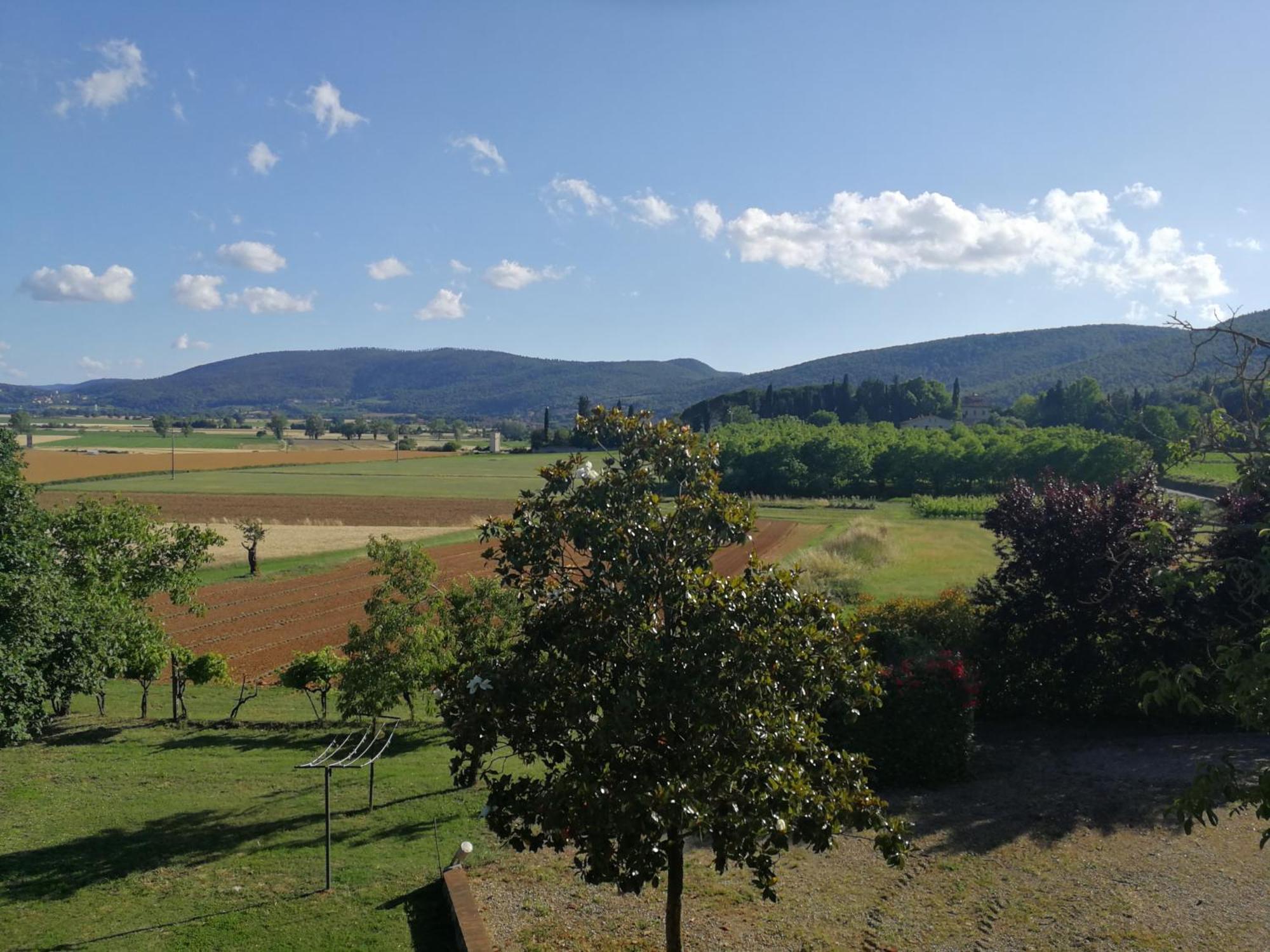 Claudia Vacanza Toscana - Appartamento Melograno -10 Min Da Siena Sovicille Quarto foto